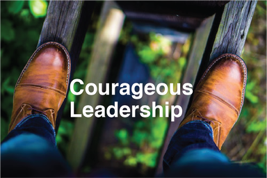 IT Leadership Webinar: Courageous Leadership